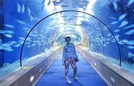 oceanographic museum